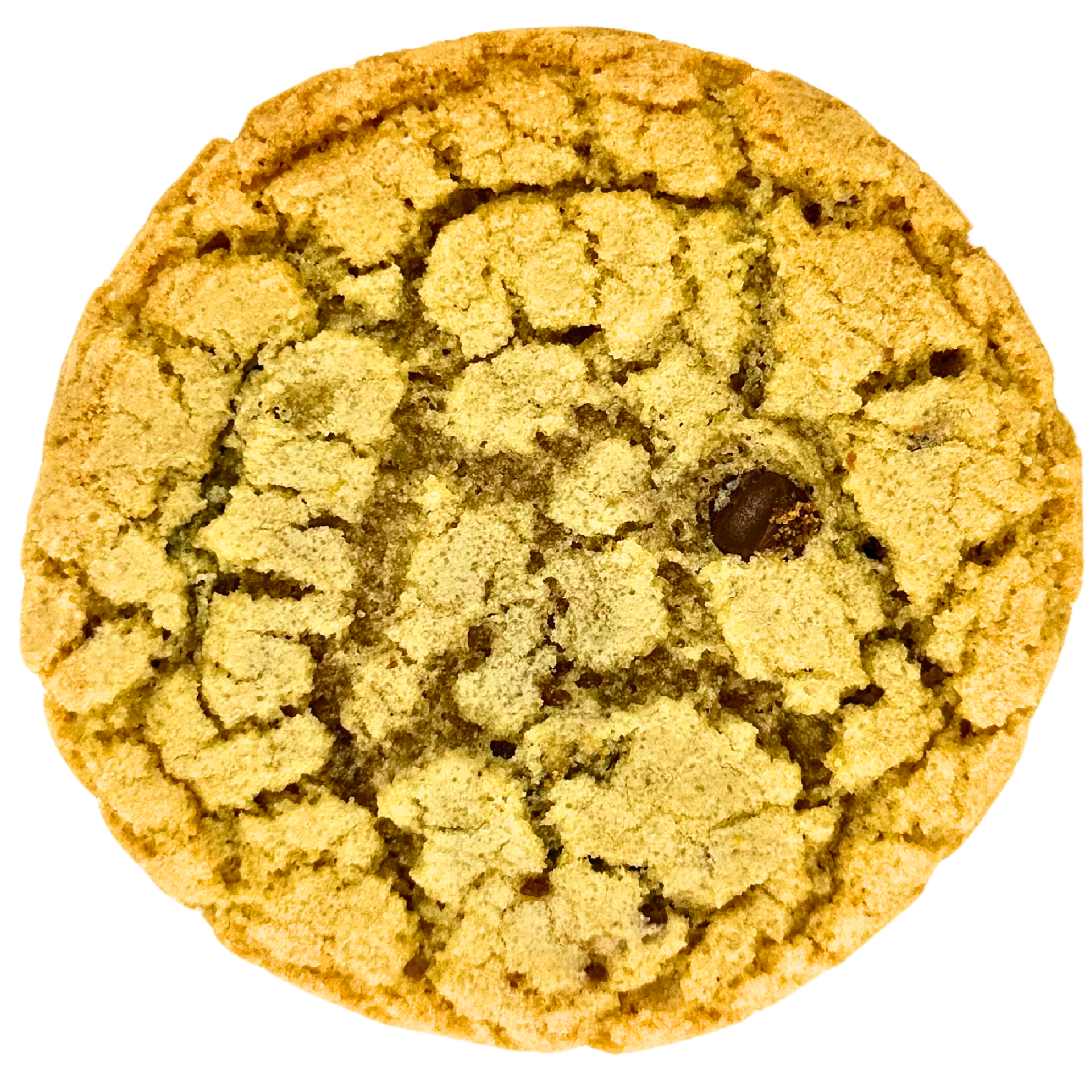 Chocolate chip cookie
