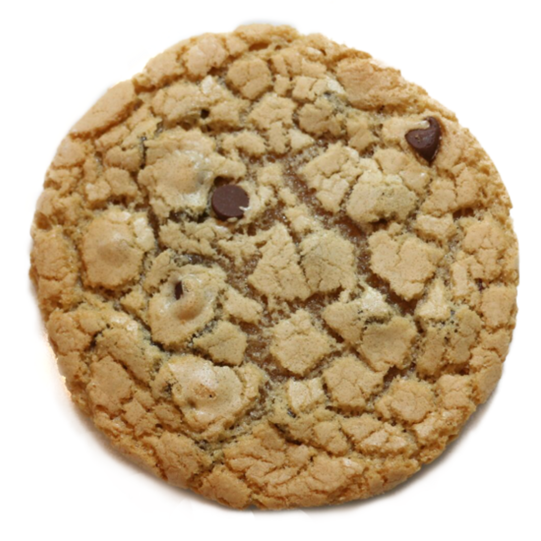 A close up of a chocolate chip cookie on a white background