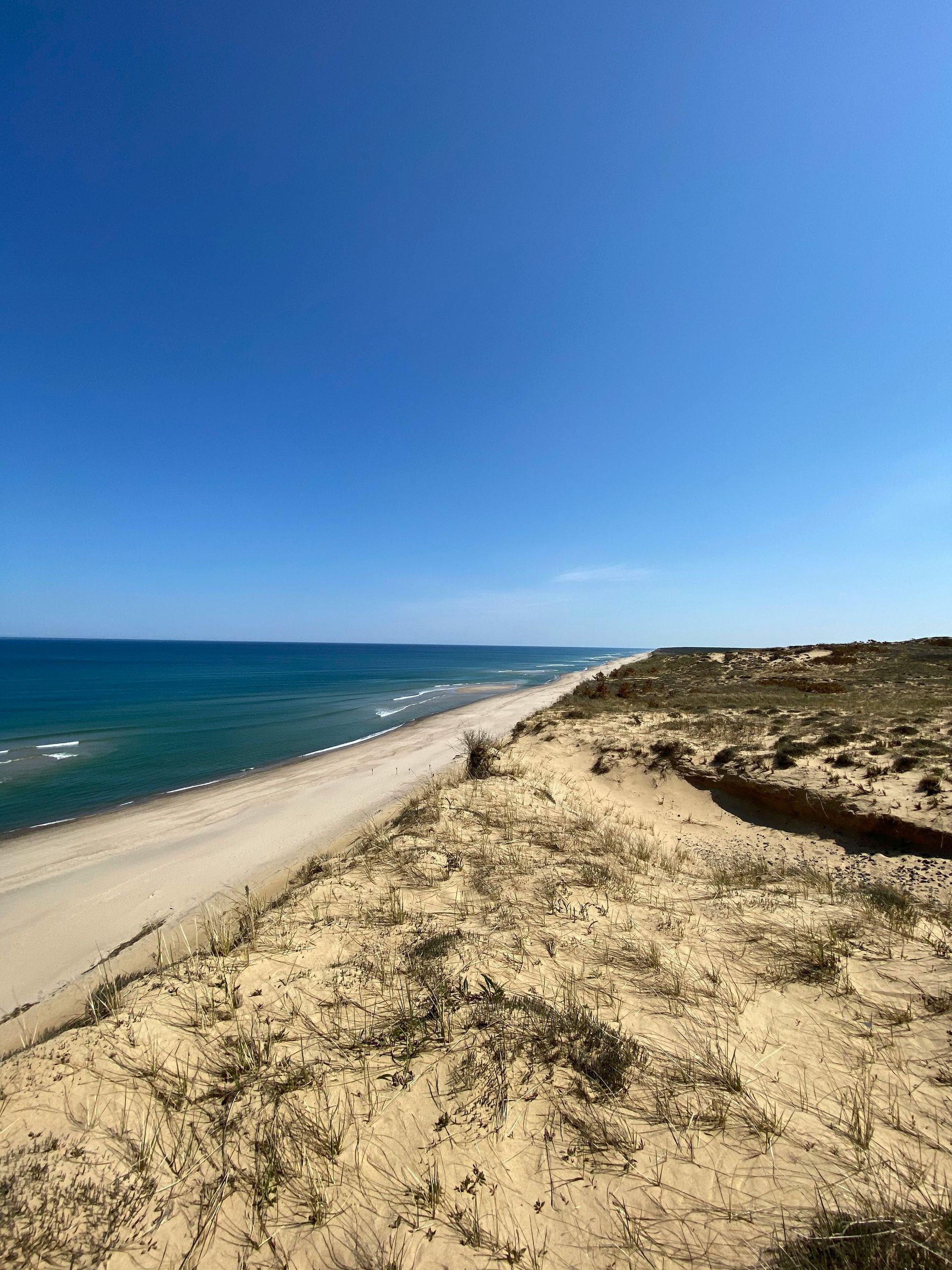 A sandy dune overlooking a long, empty beach and deep blue ocean under a clear, bright sky.