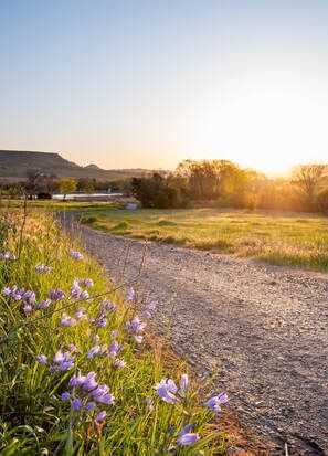 An early morning view of Thermalito North State Recreation Area at the forebay and part of the Brad Freeman Trail on Rattlesnake Hill in Oroville, California. Photo taken March 29, 2021.Picture