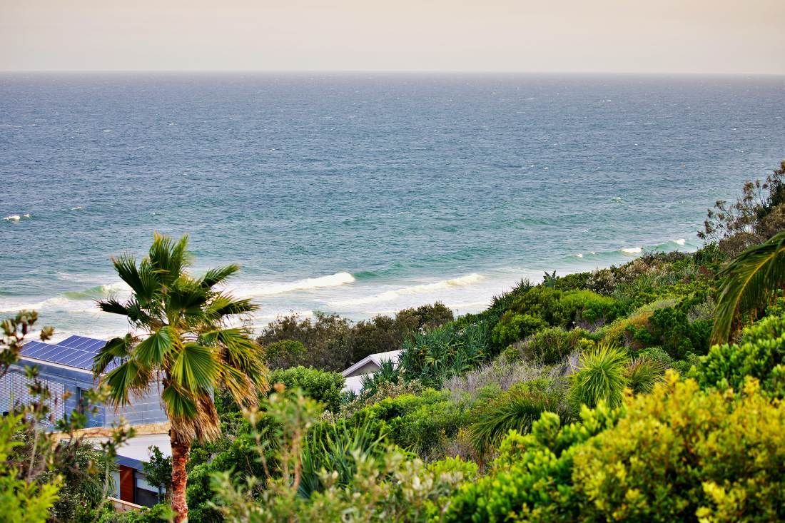 A View Of The Ocean From A Hill With Palm Trees — MoneySmith Group In Kingscliff, NSW