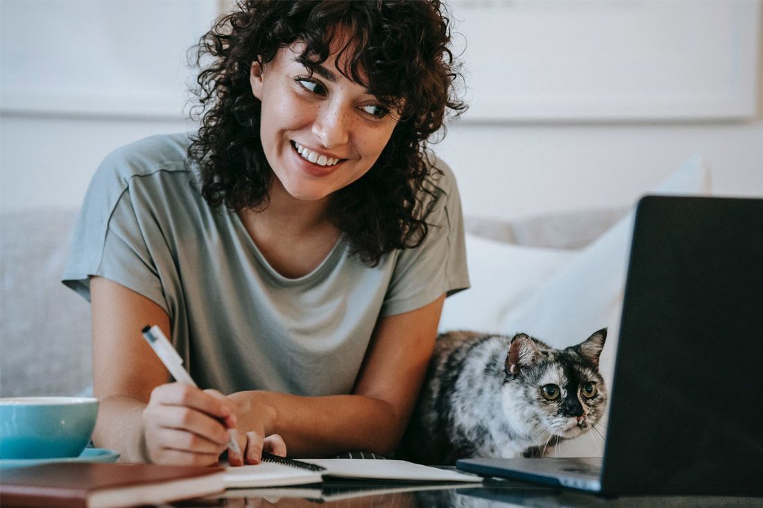 A Woman is Sitting at a Table With a Laptop and a Cat — MoneySmith Group In Kingscliff, NSW