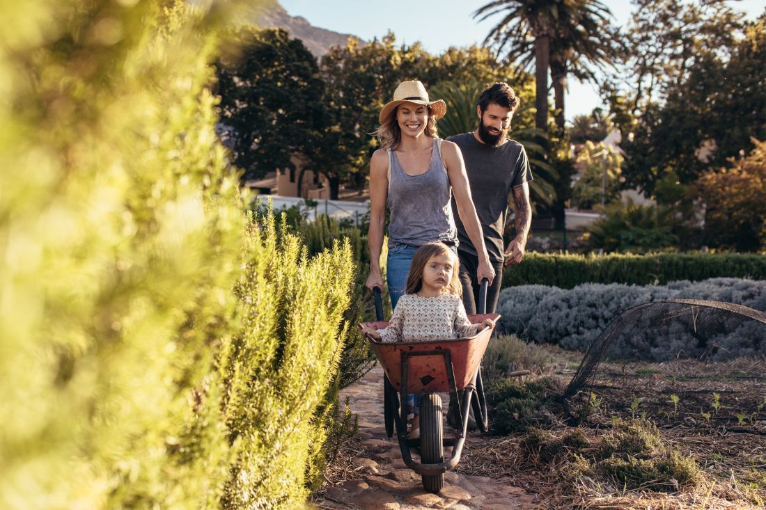 Parents push their child in a wheelbarrow through a garden on a sunny day.