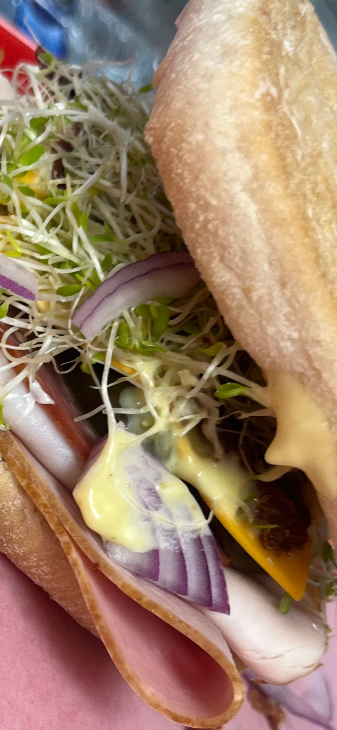 Close-up of a sandwich with melted cheese, ham, red onion, and sprouts on bread