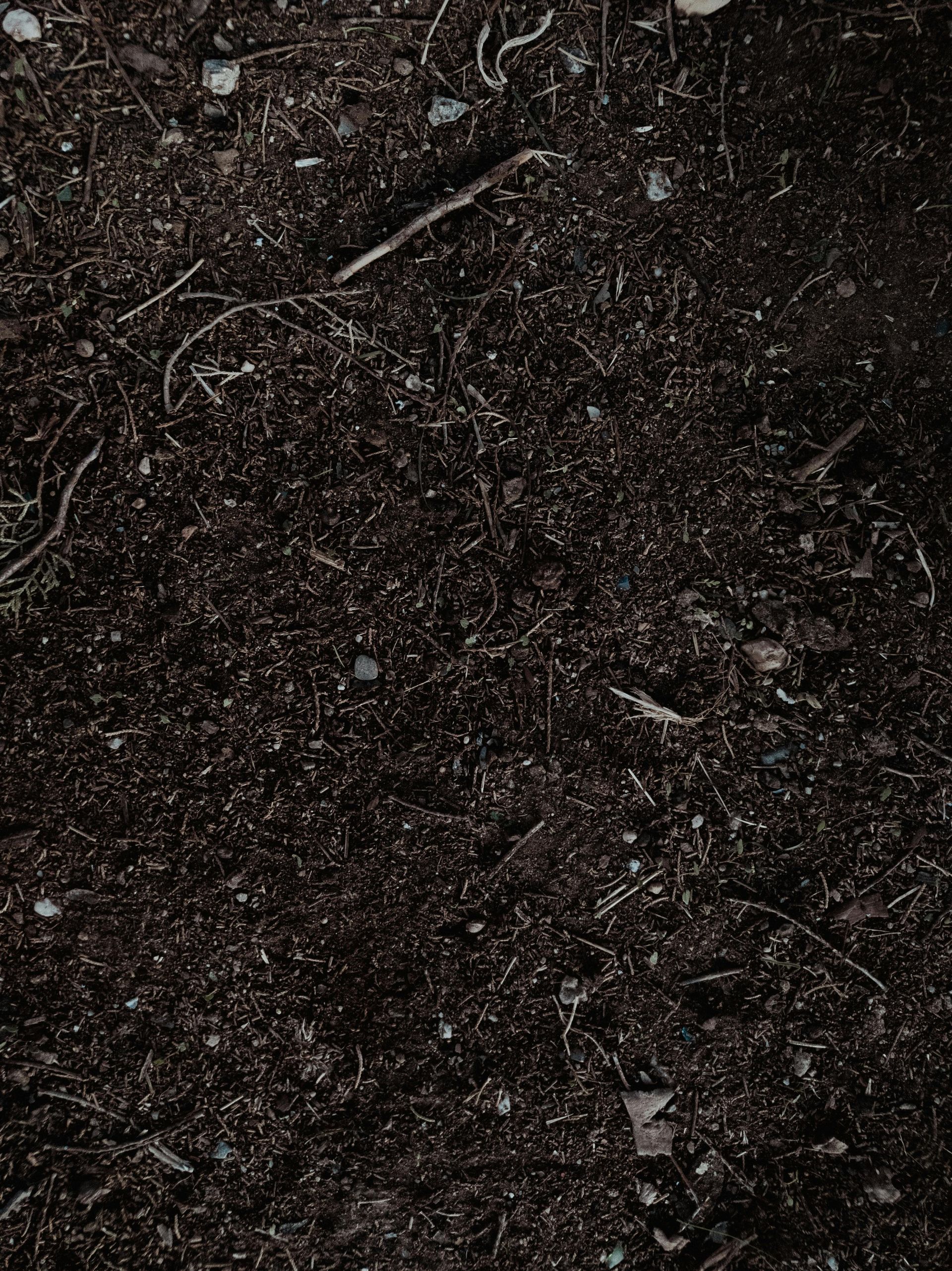 Topsoil Jacksonville FL