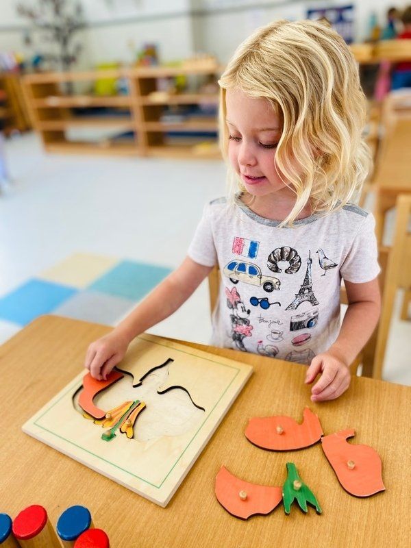 Montessori Primary
