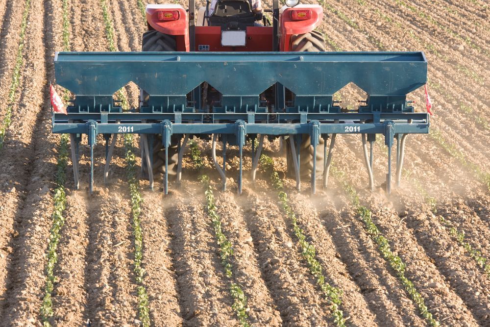 A red tractor planting seeds in a field with rows of young crops behind it.