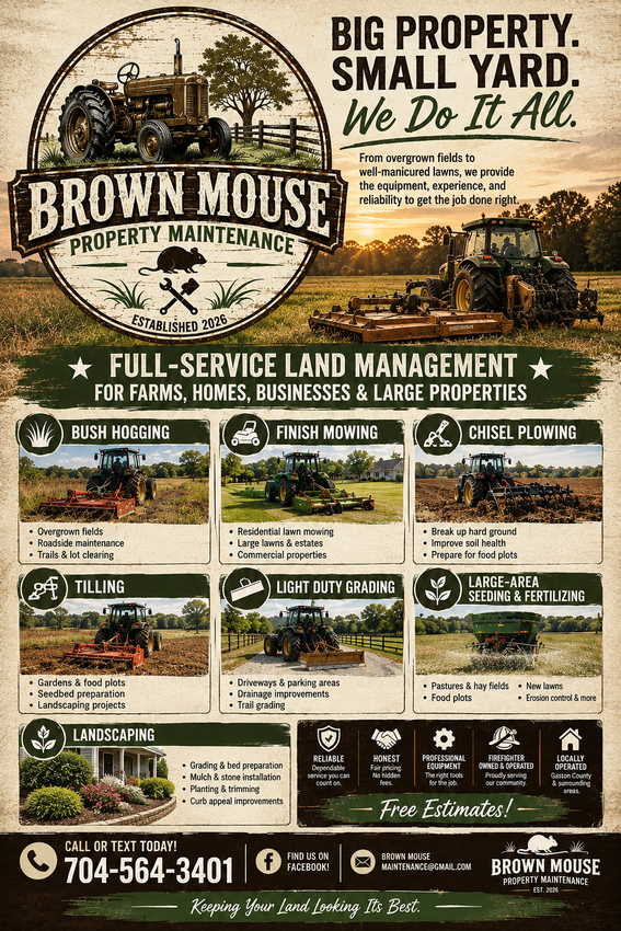 Brown Mouse Property Maintenance flyer for Big Property, Small Yard with landscaping service photos and contact info