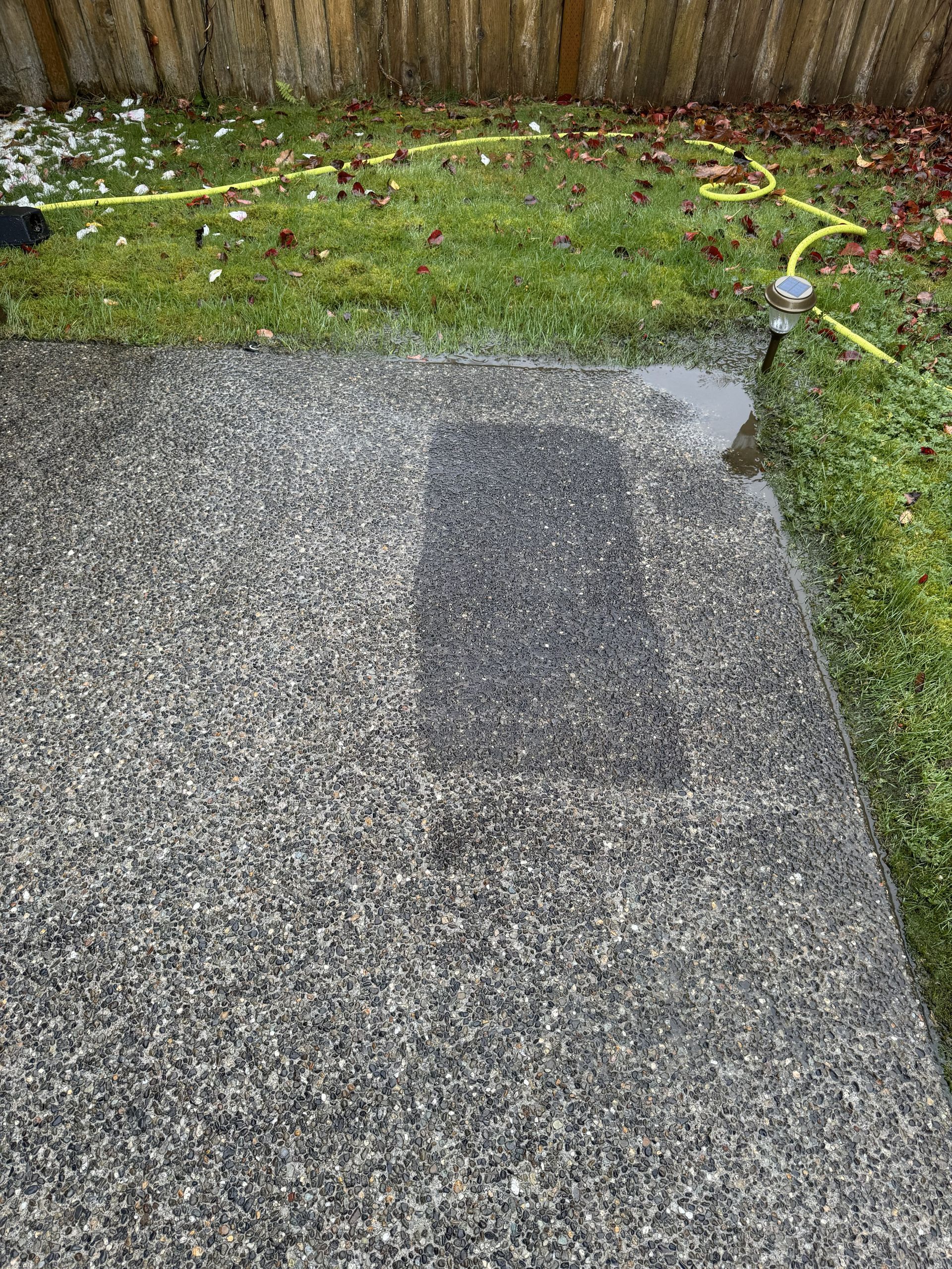 Wet, speckled concrete patio with a dark, rectangular stain, adjacent to a green lawn and wooden fence.