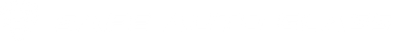 Safe Auto Glass Logo