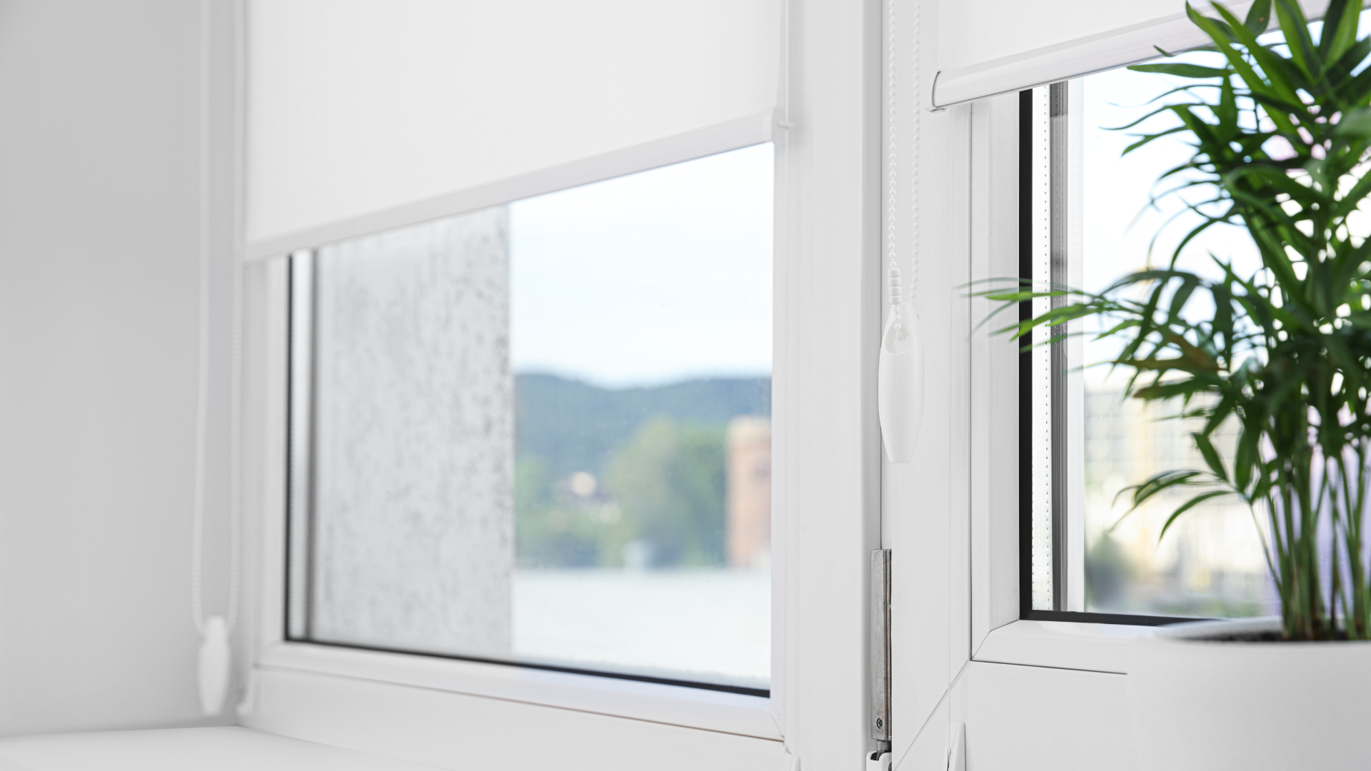 custom made blinds gold coast tweed heads