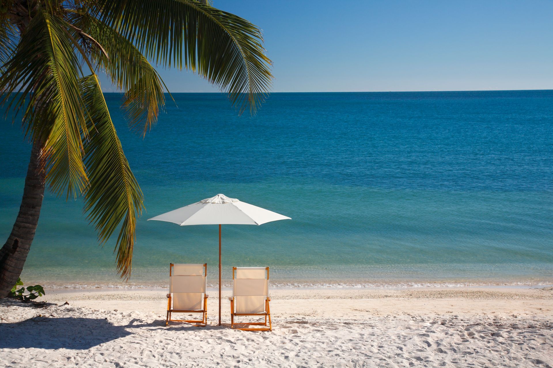 Chairs on the beach with umbrella