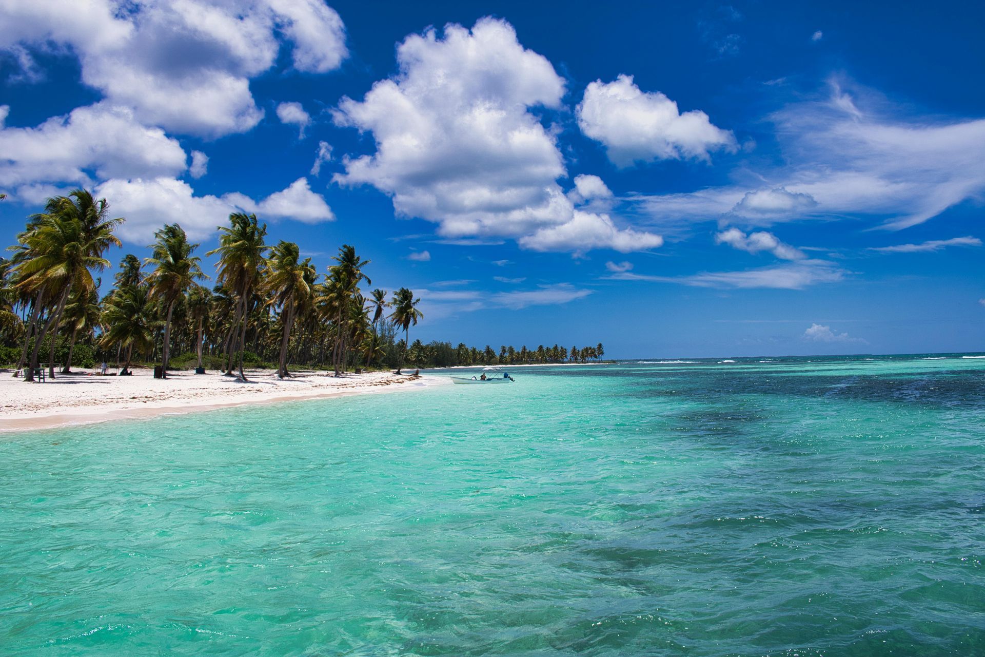 Tropical beach with turquoise water, white sand, palm trees, and a bright blue sky with clouds