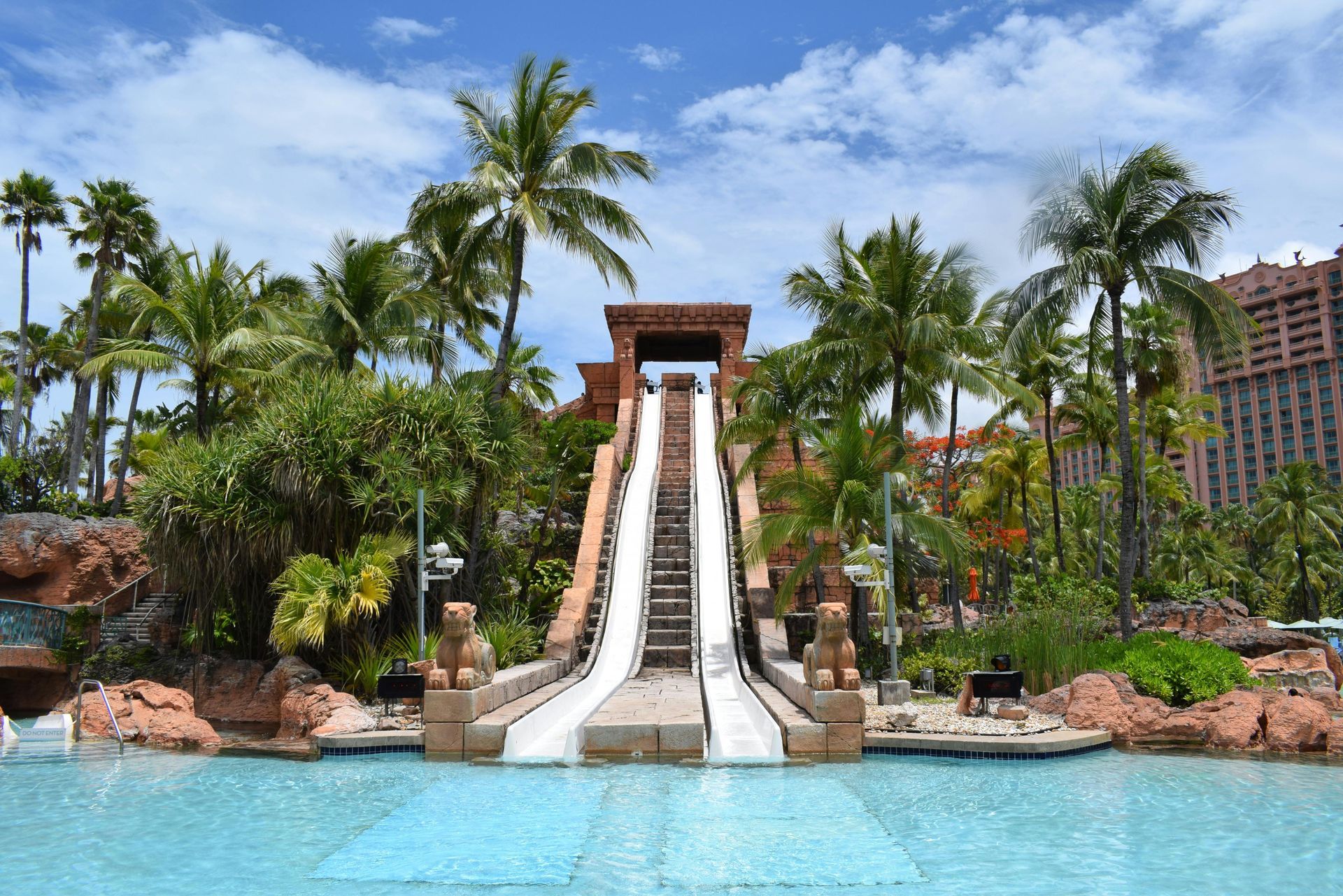 Tropical water park slide framed by palm trees and rocks, ending in a bright blue pool