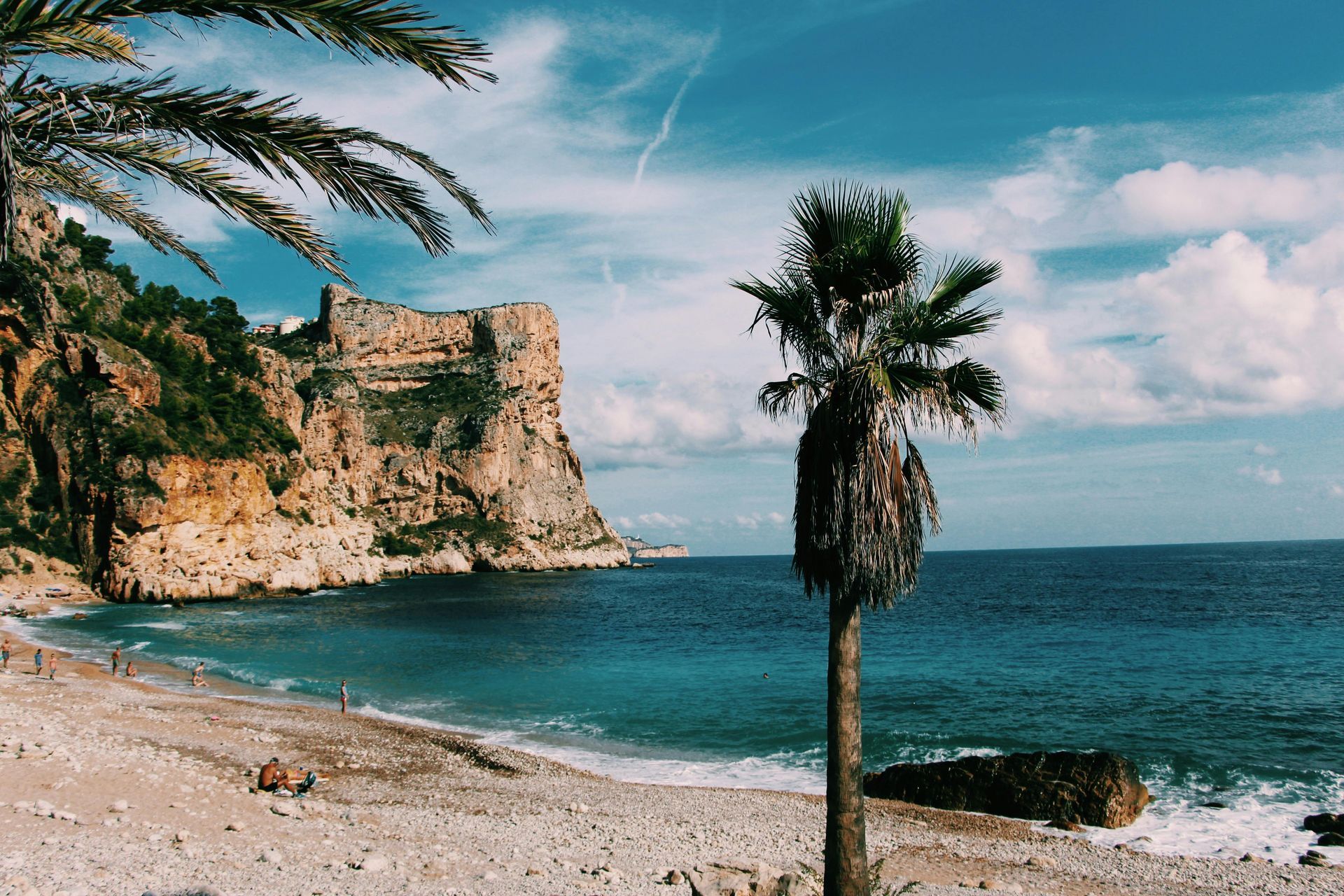 Sandy beach with turquoise sea, rocky cliff, and a palm tree under a partly cloudy sky