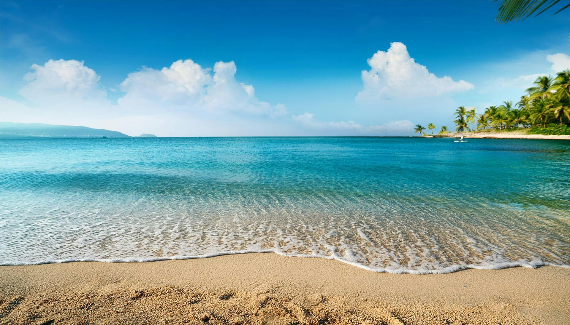Tropical beach with clear blue water, sandy shore, and palm trees under a bright sky