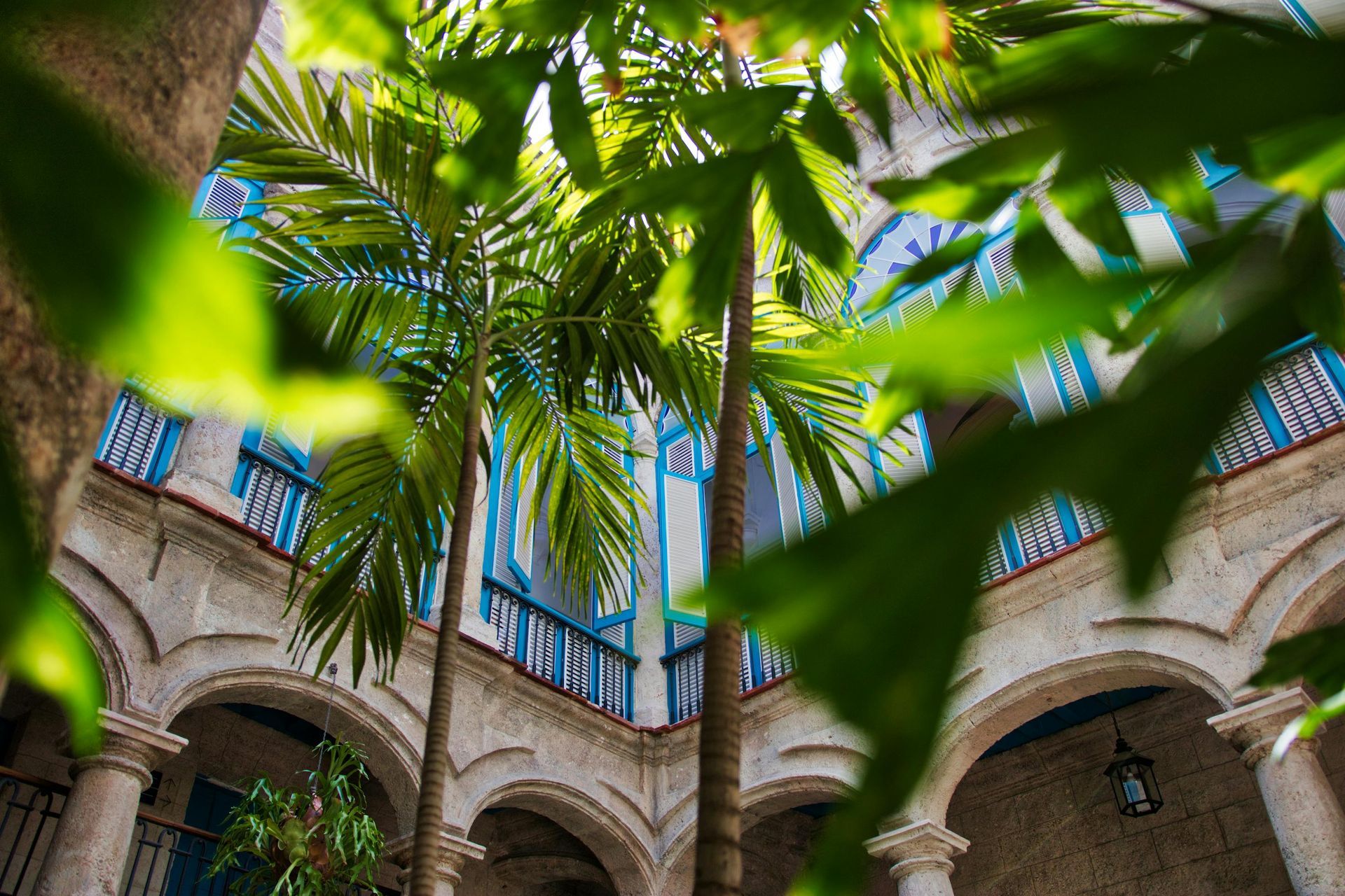 Palm trees in a sunlit courtyard with arched stone walls and blue-tiled windows, viewed from below