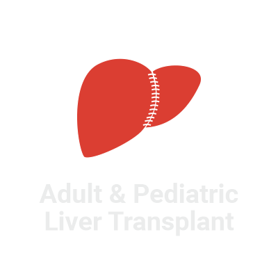 Adult & Pediatric Liver Transplant Crowdfunding - Liver Pancreas Foundation of Hyderabad, LPFOH