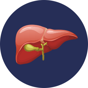 Liver Diseases Burden in India - Liver Pancreas Foundation of Hyderabad, LPFOH