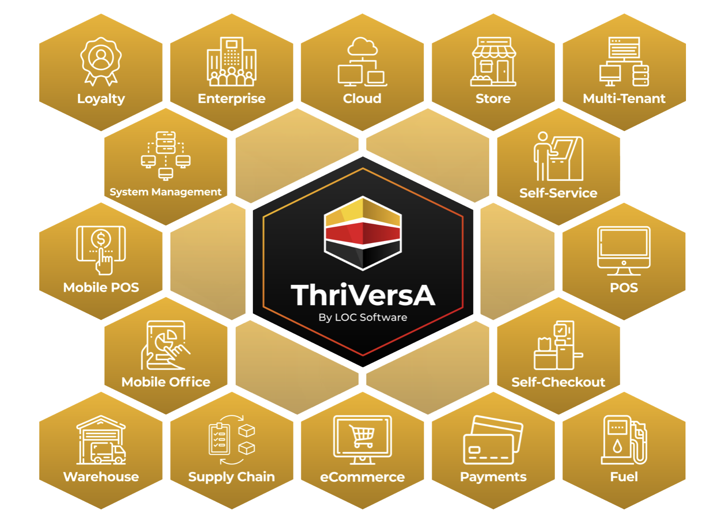 ThriVersA logo in a black hexagon surrounded by gold hexagons listing enterprise services and industries