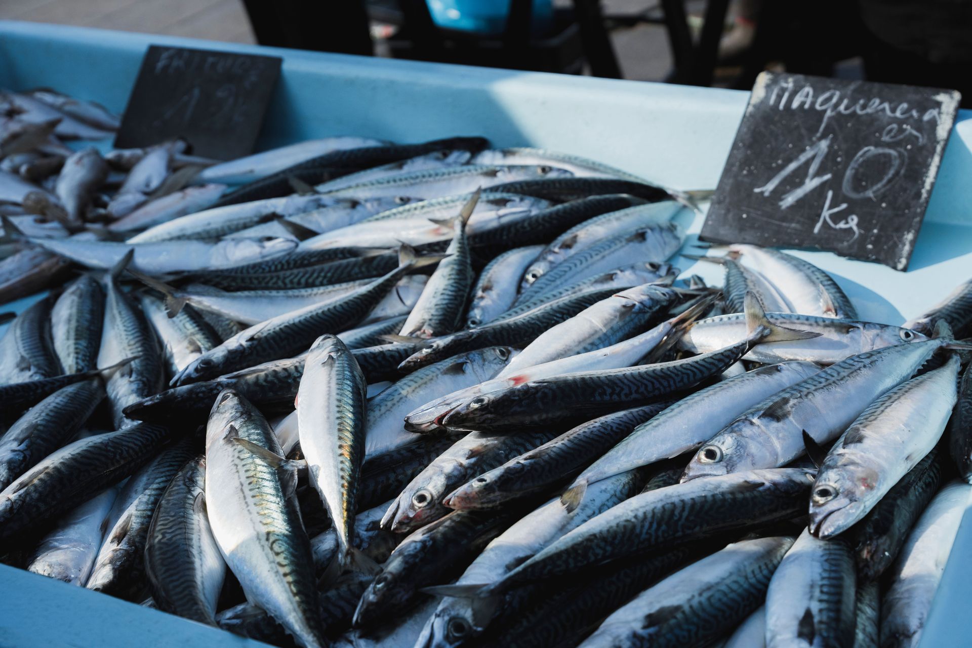 Fresh silver fish piled in a market stall with a price sign
