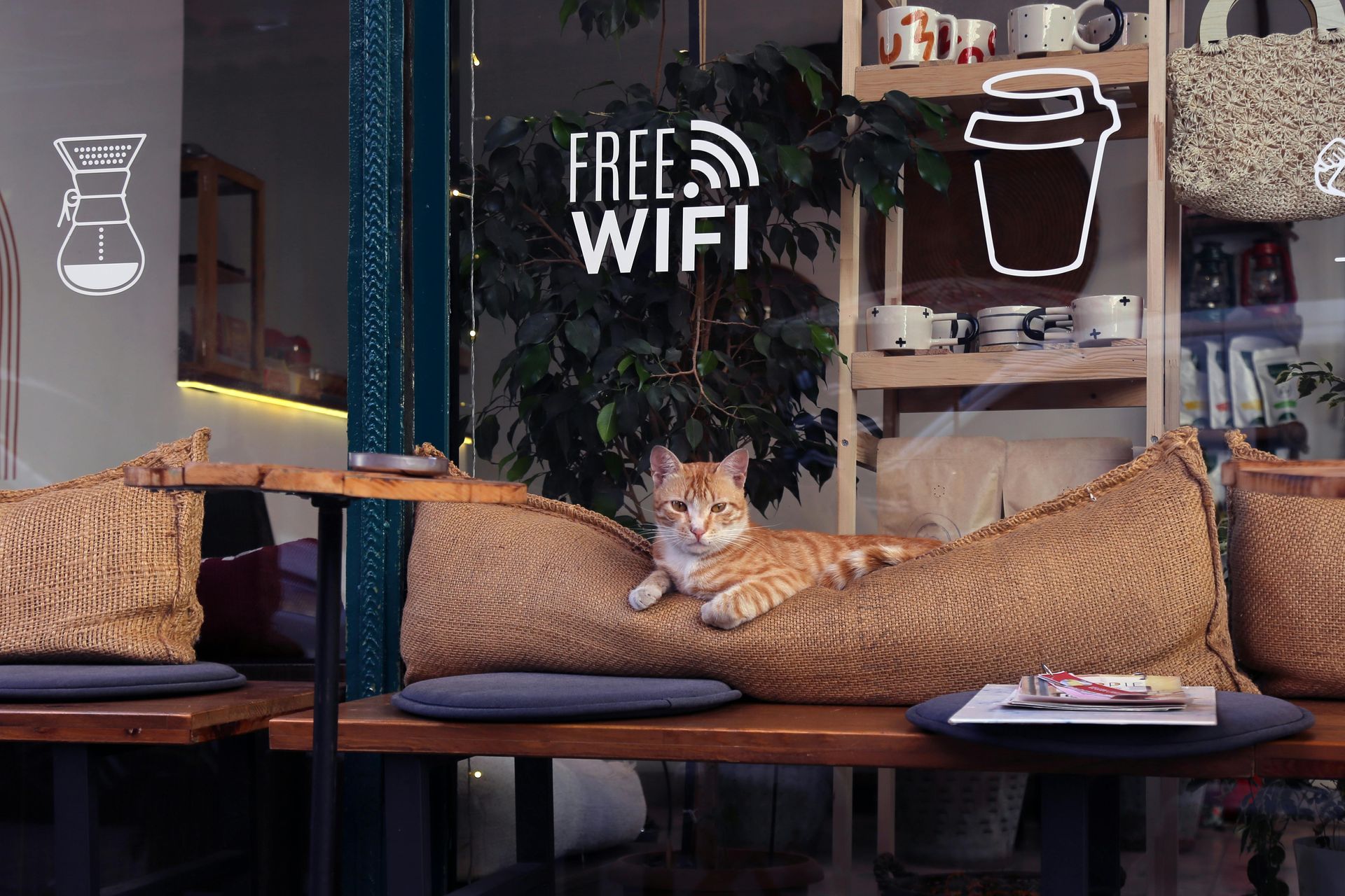 Free Wifi