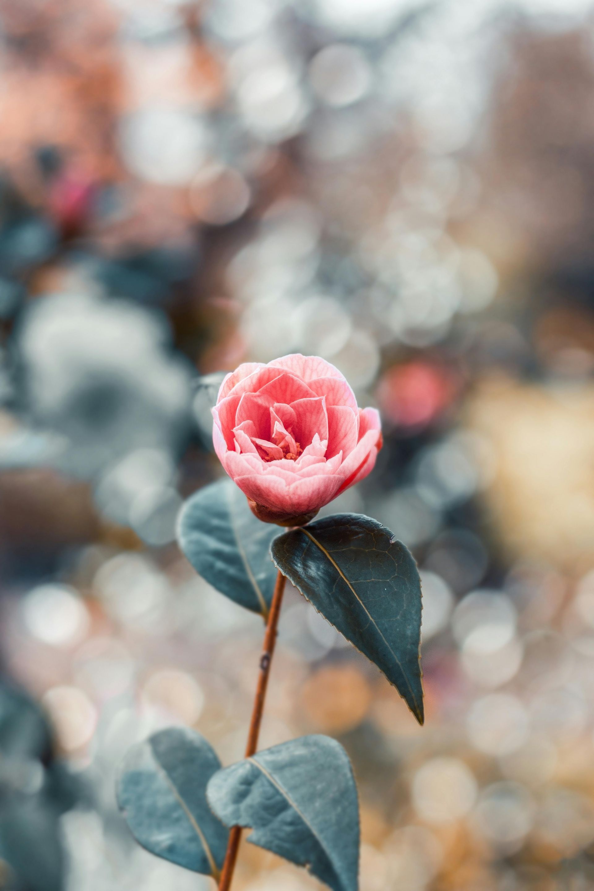 EMDR therapy session