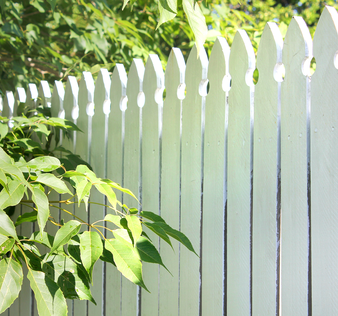 A white picket fence with a tree in the background