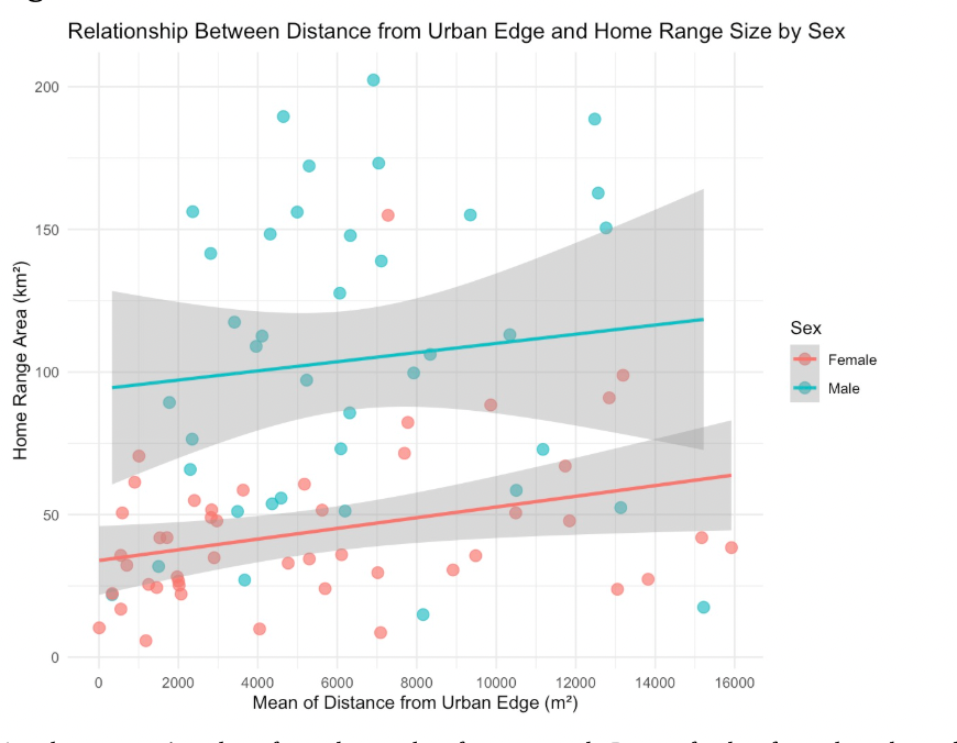 Graph showing the relationship between distance from urban edge and mountain lion home size separated by sex
