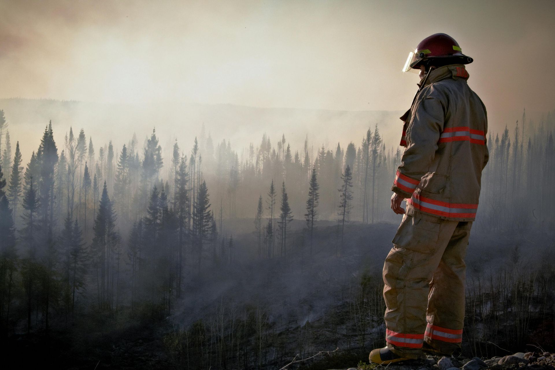 A firefighter is standing on top of a hill looking at a forest fire.