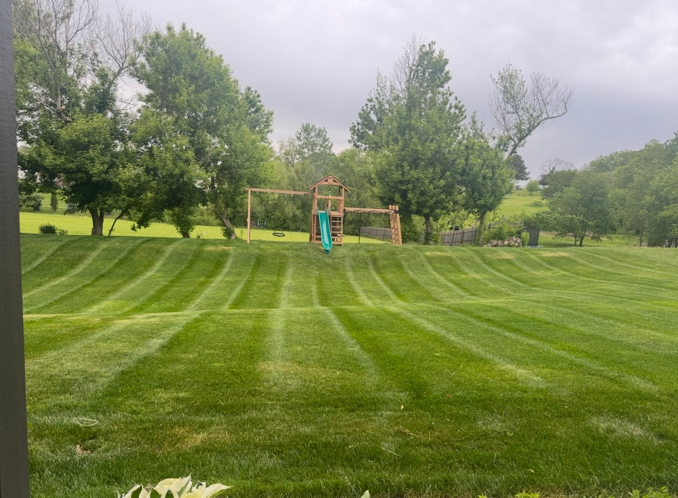Lush striped lawn with a wooden swing set under trees on a cloudy day