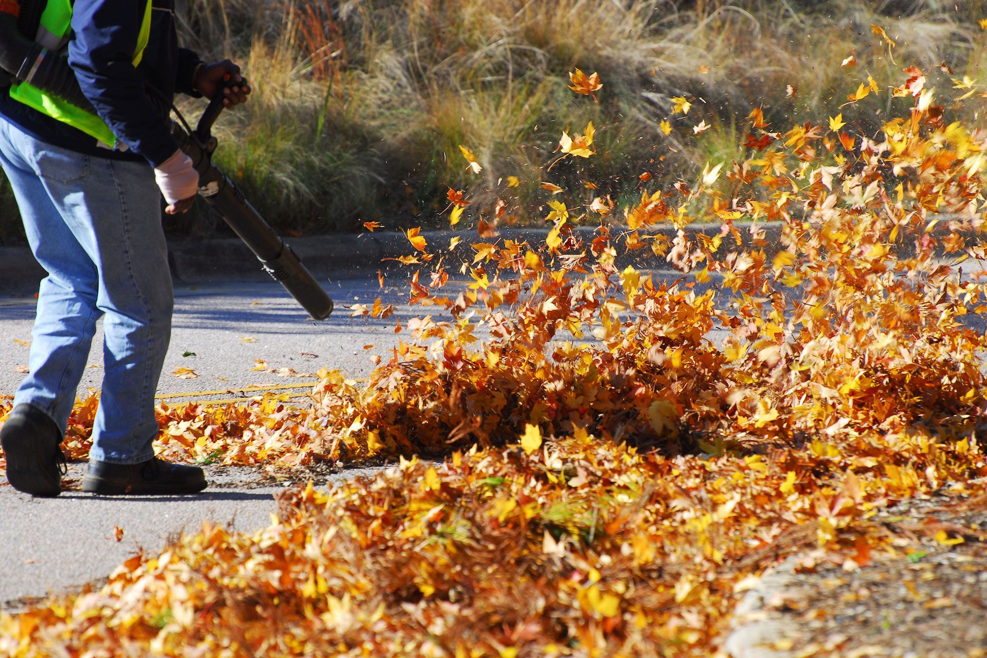 A person wearing a high-visibility vest uses a leaf blower to clear autumn leaves from a paved surface.