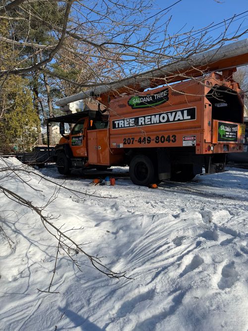 Orange tree-removal truck parked in snowy woods beside a house