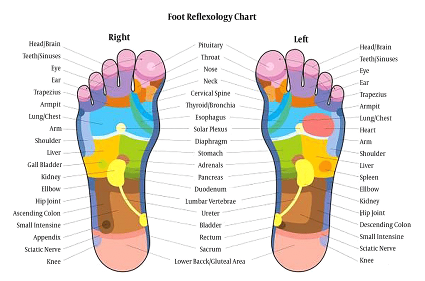 Foot reflexology chart: colored diagram of feet, mapping body parts to zones.