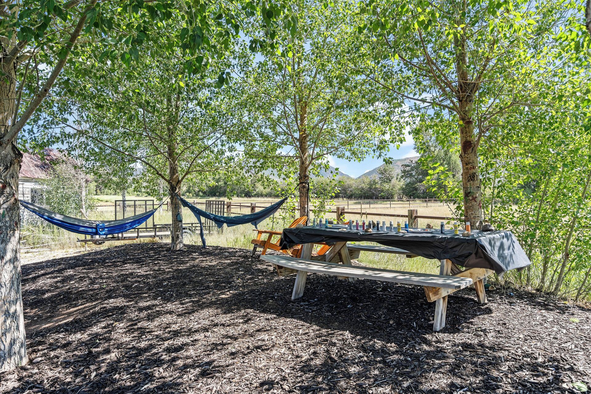 Picnic table under trees with a hammock, set in a sunny yard with a fence in the background.