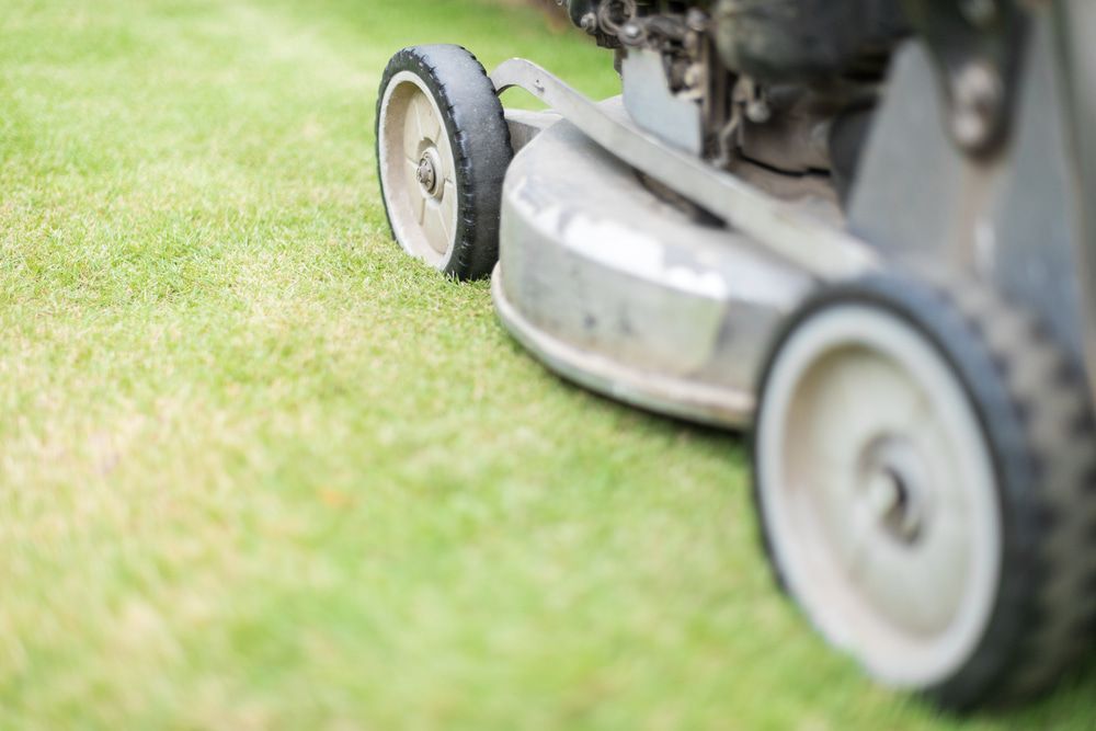 A Lawn Mower Is Cutting a Lush Green Lawn — Docs Mobile Tyre Service in River Heads, QLD