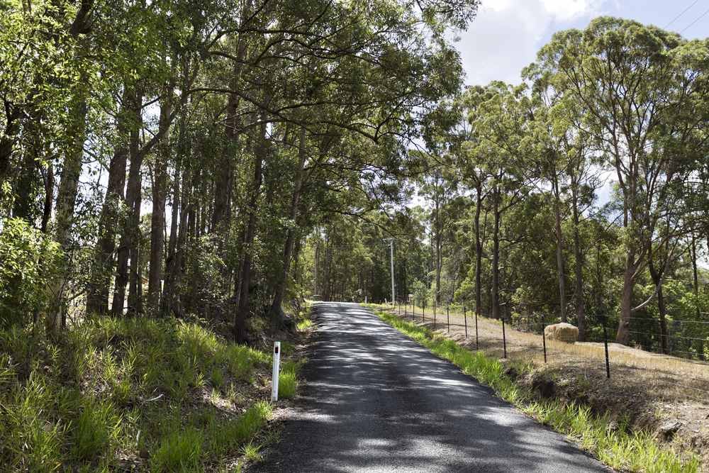 A Road Going Through a Forest With Trees on Both Sides — Docs Mobile Tyre Service In Yandina, QLD