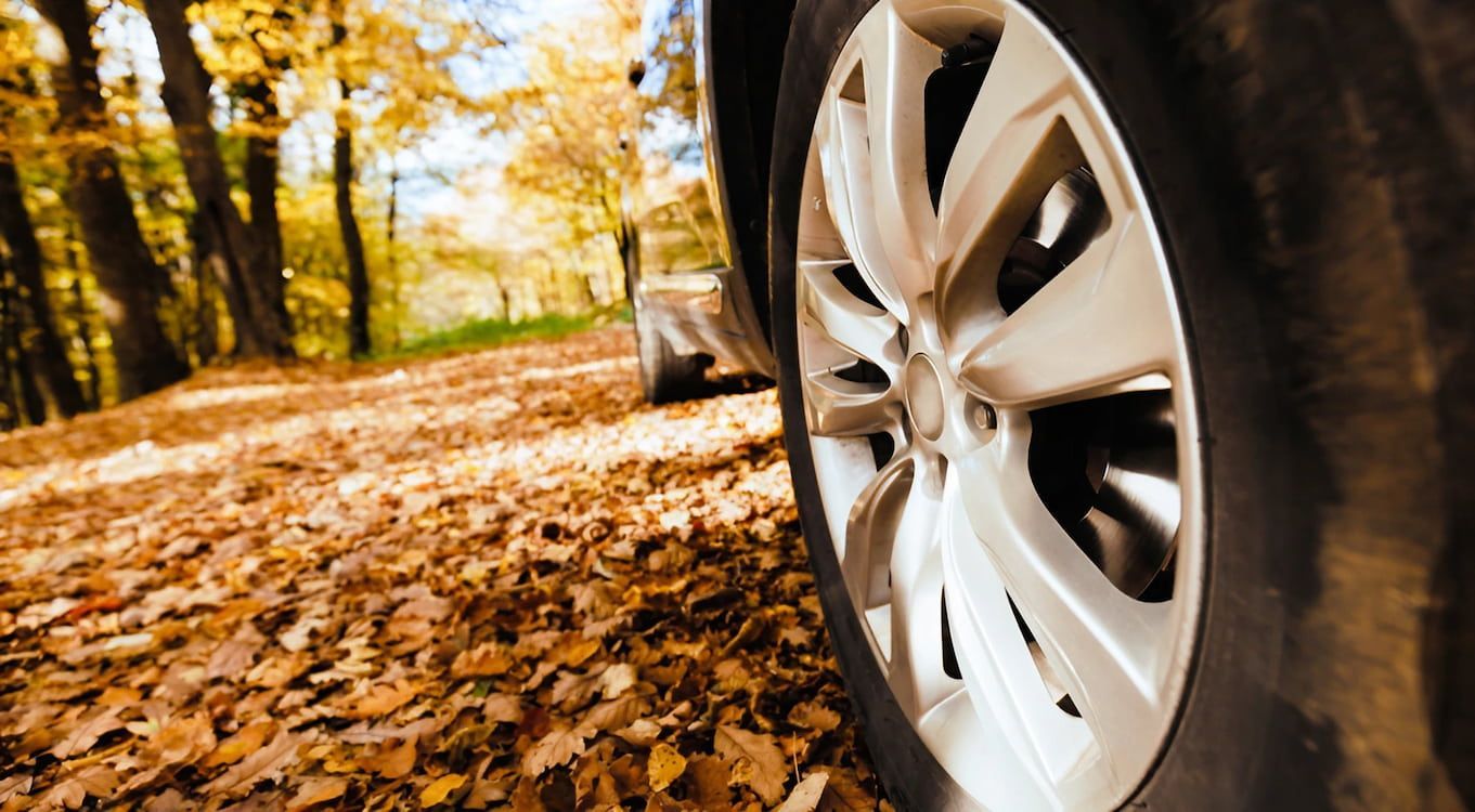 A Close up Of a Car Wheel on A Road Covered in Leaves — Docs Mobile Tyre Service in Hervey Bay, QLD