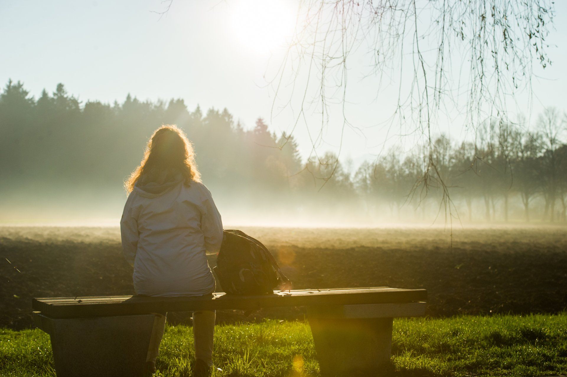 Person sitting on a bench in a misty sunlit park, facing a field and tree line.