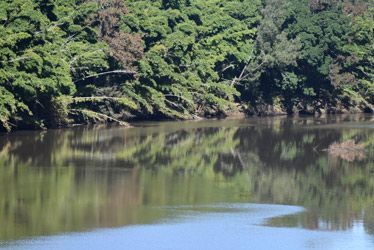 A Lake With Trees On The Shore And Trees Reflected In The Water — Ballina Demolitions In Lismore, NSW