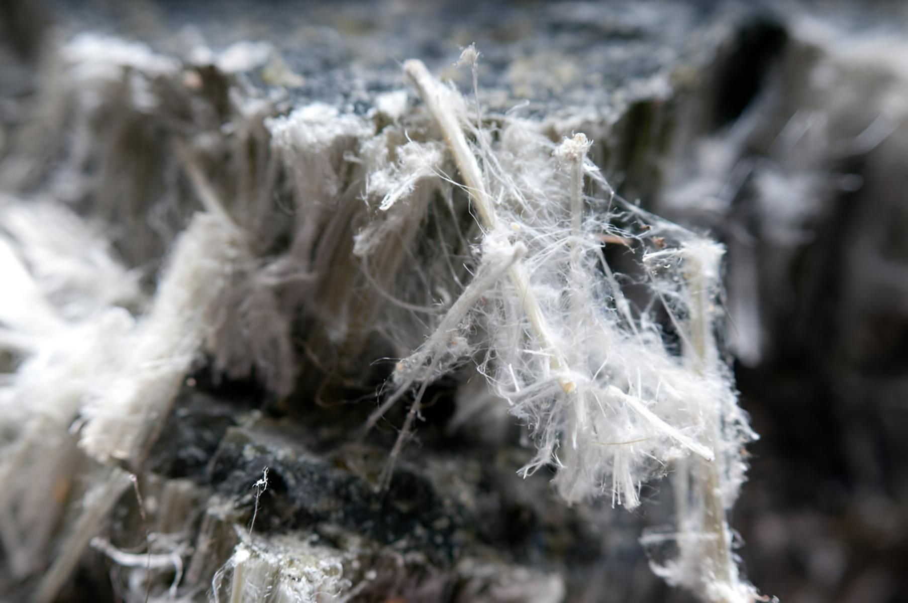 A Close up Of a Piece of Asbestos on A Rock — Ballina Demolitions In East Wardell, NSW
