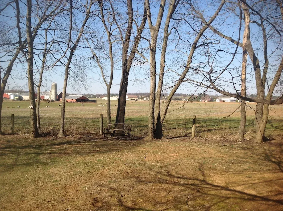 A field with trees and a fence in the foreground