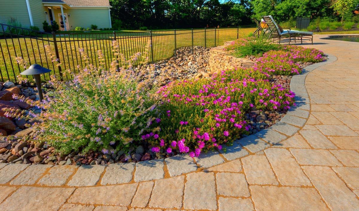 A patio with purple flowers and a fence in the background