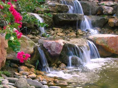 A small waterfall is surrounded by rocks and flowers