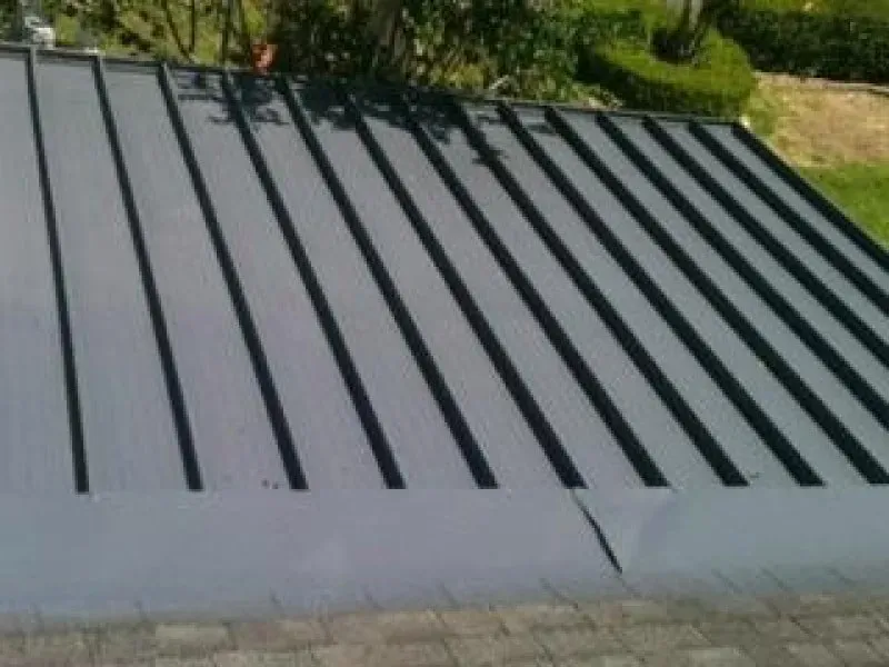 Gray metal roof with vertical seams and a small crack near the bottom, bordered by green foliage.