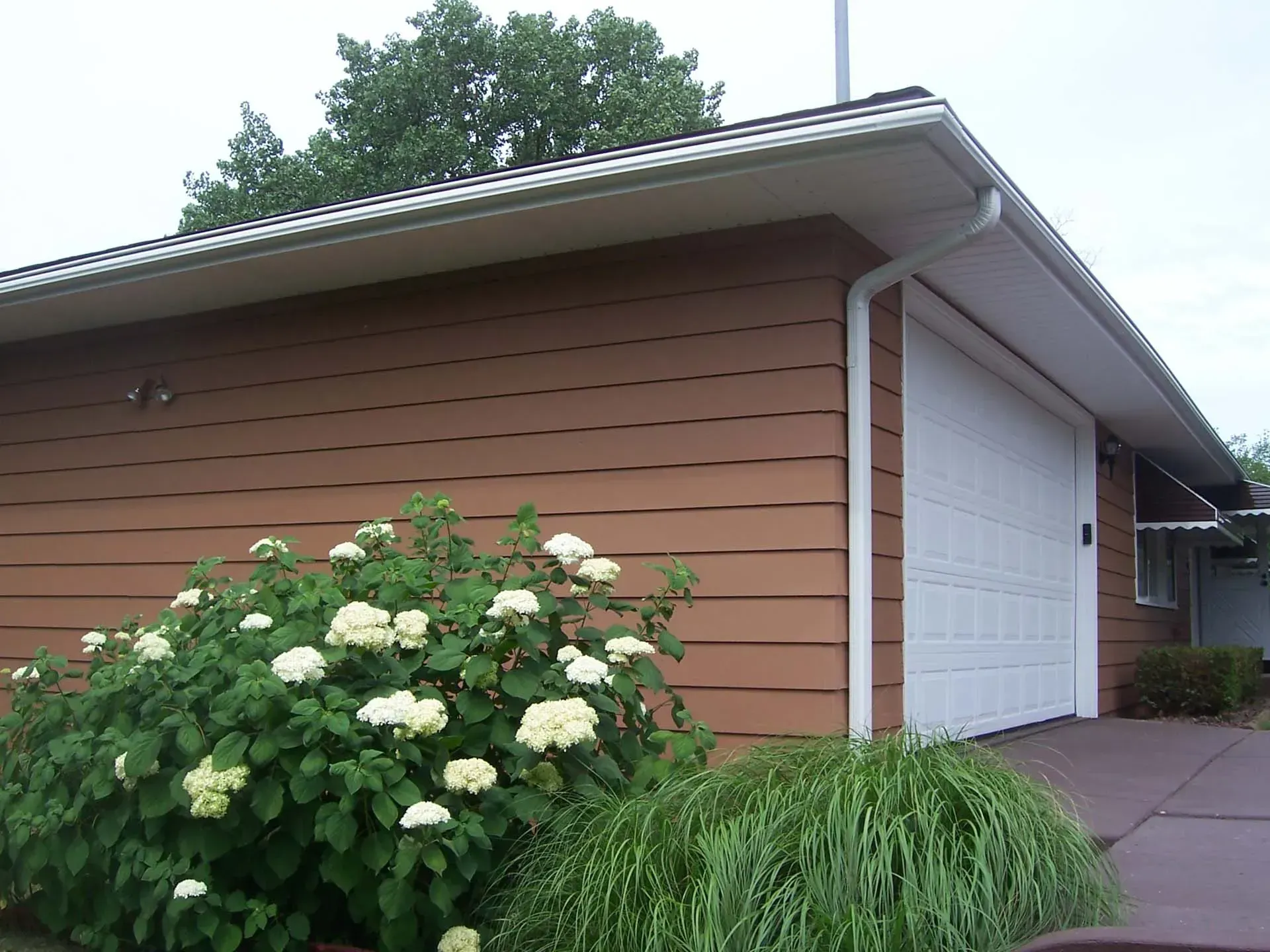 Brown garage with white door beside flowering shrubs and tall grass on a driveway