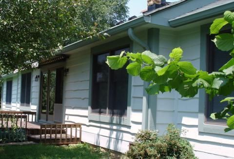 Single-story white house with green shutters, porch, and leafy branches in the foreground