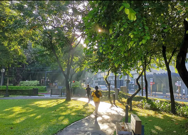 Sunlit park path under leafy trees, with two people walking near a fence in the distance.