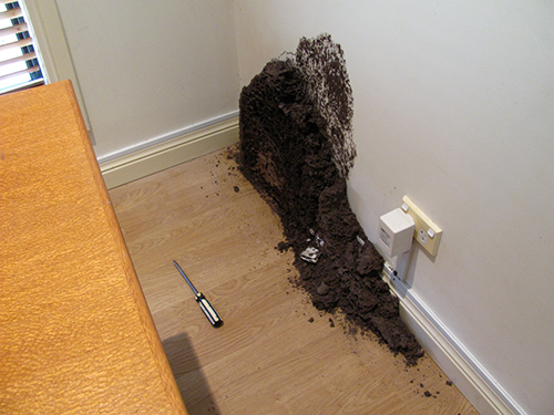 Evidence of a termite infestation