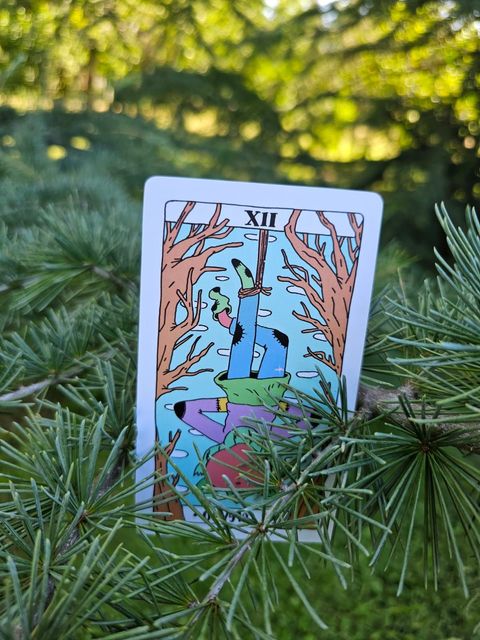 Carta del tarot entre ramas de pino al aire libre, que muestra una colorida escena de una torre bajo el número XVII.